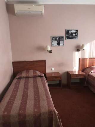 Отель Готель Зірка Кропивницкий Стандартный двухместный номер с 2 отдельными кроватями-3